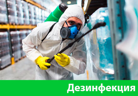 Дезинфекция в городе Находка