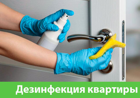 Дезинфекция квартиры в городе Находка