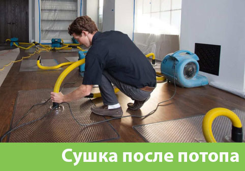 Сушка после потопа в городе Находка
