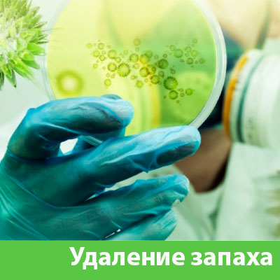 Удаление запахов в Находке